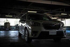 tHX^[ SK9/SKE ^ JX^y{zA[g{[h A[gpl artmart A[g}[g Gʐ^A~t[ŕ\B ǎ z EH[XebJ[ tHg Ǌ|ł̃C