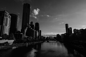 y{zA[gpl {[h artmart A[g}[g ʐ^ A~t[  Y R[fBl[g ǎ z EH[XebJ[ tHg   ItBX ze  a@ z[