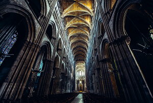 y{zA[gpl {[h artmart A[g}[g ʐ^ A~t[  Y R[fBl[g ǎ z EH[XebJ[ tHg   ItBX ze  a@ z[