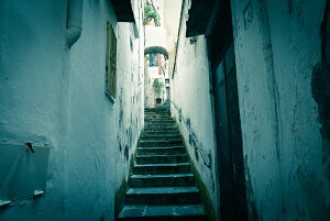 y{zA[gpl {[h artmart A[g}[g ʐ^ A~t[  Y R[fBl[g ǎ z EH[XebJ[ tHg   ItBX ze  a@ z[