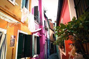 y{zA[gpl {[h artmart A[g}[g ʐ^ A~t[  Y R[fBl[g ǎ z EH[XebJ[ tHg   ItBX ze  a@ z[