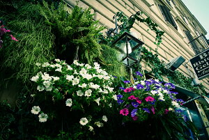 y{zA[gpl {[h artmart A[g}[g ʐ^ A~t[  Y R[fBl[g ǎ z EH[XebJ[ tHg   ItBX ze  a@ z[