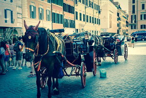 y{zA[gpl {[h artmart A[g}[g ʐ^ A~t[  Y R[fBl[g ǎ z EH[XebJ[ tHg   ItBX ze  a@ z[