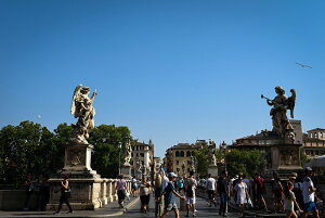 y{zA[gpl {[h artmart A[g}[g ʐ^ A~t[  Y R[fBl[g ǎ z EH[XebJ[ tHg   ItBX ze  a@ z[