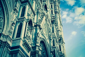 y{zA[gpl {[h artmart A[g}[g ʐ^ A~t[  Y R[fBl[g ǎ z EH[XebJ[ tHg   ItBX ze  a@ z[