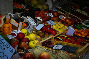 y{zA[gpl {[h artmart A[g}[g ʐ^ A~t[  Y R[fBl[g ǎ z EH[XebJ[ tHg   ItBX ze  a@ z[