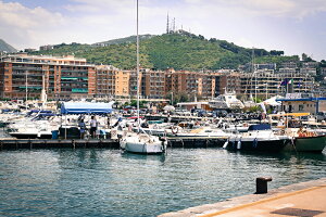 y{zA[gpl {[h artmart A[g}[g ʐ^ A~t[  Y R[fBl[g ǎ z EH[XebJ[ tHg   ItBX ze  a@ z[