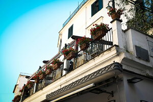 y{zA[gpl {[h artmart A[g}[g ʐ^ A~t[  Y R[fBl[g ǎ z EH[XebJ[ tHg   ItBX ze  a@ z[