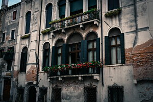 y{zA[gpl {[h artmart A[g}[g ʐ^ A~t[  Y R[fBl[g ǎ z EH[XebJ[ tHg   ItBX ze  a@ z[