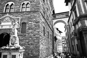 y{zA[gpl {[h artmart A[g}[g ʐ^ A~t[  Y R[fBl[g ǎ z EH[XebJ[ tHg   ItBX ze  a@ z[