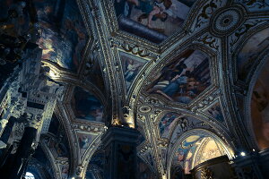 y{zA[gpl {[h artmart A[g}[g ʐ^ A~t[  Y R[fBl[g ǎ z EH[XebJ[ tHg   ItBX ze  a@ z[