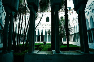 y{zA[gpl {[h artmart A[g}[g ʐ^ A~t[  Y R[fBl[g ǎ z EH[XebJ[ tHg   ItBX ze  a@ z[