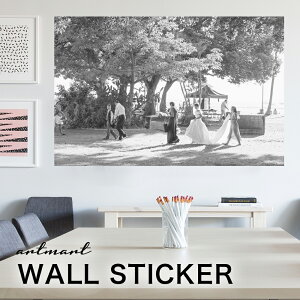 EH[XebJ[ A[gpl A[g ǎV[ ǃV[ CeA XebJ[ ʐ^  ǎ k R   lC Y  Vbv rO ItBX _CjO 