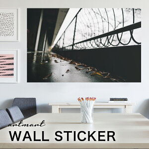 EH[XebJ[ A[gpl A[g ǎV[ ǃV[ CeA XebJ[ ʐ^  ǎ k R   lC Y  Vbv rO ItBX _CjO 