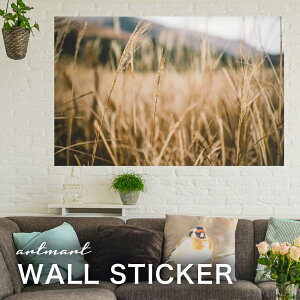 EH[XebJ[ A[gpl A[g ǎV[ ǃV[ CeA XebJ[ ʐ^  ǎ k R   lC Y  Vbv rO ItBX _CjO 