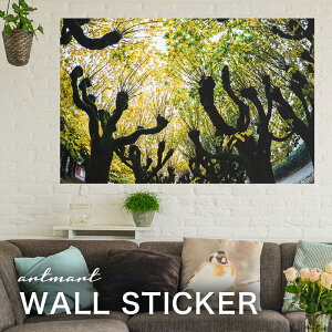 EH[XebJ[ A[gpl A[g ǎV[ ǃV[ CeA XebJ[ ʐ^  ǎ k R   lC Y  Vbv rO ItBX _CjO 