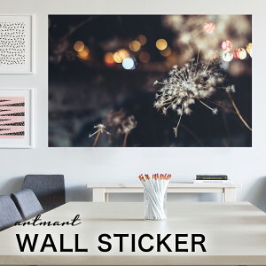 EH[XebJ[ A[gpl A[g ǎV[ ǃV[ CeA XebJ[ ʐ^  ǎ k R   lC Y  Vbv rO ItBX _CjO 