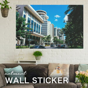 EH[XebJ[ A[gpl A[g ǎV[ ǃV[ CeA XebJ[ ʐ^  ǎ k R   lC Y  Vbv rO ItBX _CjO 