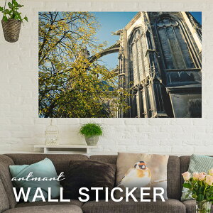 EH[XebJ[ A[gpl A[g ǎV[ ǃV[ CeA XebJ[ ʐ^  ǎ k R   lC Y  Vbv rO ItBX _CjO 