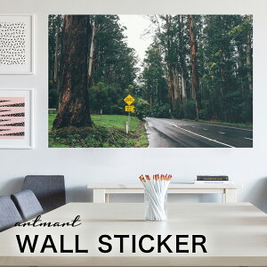 EH[XebJ[ A[gpl A[g ǎV[ ǃV[ CeA XebJ[ ʐ^  ǎ k R   lC Y  Vbv rO ItBX _CjO 