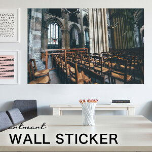 EH[XebJ[ A[gpl A[g ǎV[ ǃV[ CeA XebJ[ ʐ^  ǎ k R   lC Y  Vbv rO ItBX _CjO 