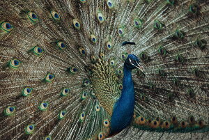 y{zA[gpl {[h artmart A[g}[g ʐ^ A~t[  Y R[fBl[g ǎ z EH[XebJ[ tHg   ItBX ze  a@ z[