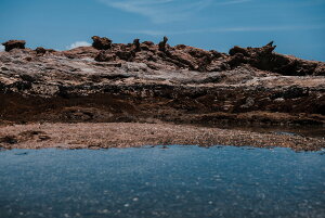 y{zA[gpl {[h artmart A[g}[g ʐ^ A~t[  Y R[fBl[g ǎ z EH[XebJ[ tHg   ItBX ze  a@ z[