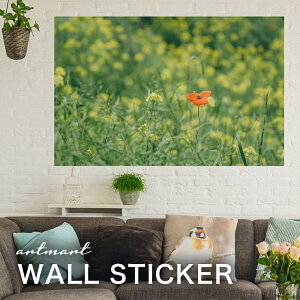 EH[XebJ[ A[gpl A[g ǎV[ ǃV[ CeA XebJ[ ʐ^  ǎ k R   lC Y  Vbv rO ItBX _CjO 