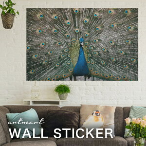 EH[XebJ[ A[gpl A[g ǎV[ ǃV[ CeA XebJ[ ʐ^  ǎ k R   lC Y  Vbv rO ItBX _CjO 