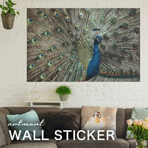 EH[XebJ[ A[gpl A[g ǎV[ ǃV[ CeA XebJ[ ʐ^  ǎ k R   lC Y  Vbv rO ItBX _CjO 