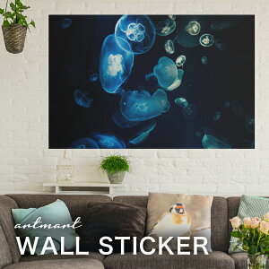 EH[XebJ[ A[gpl A[g ǎV[ ǃV[ CeA XebJ[ ʐ^  ǎ k R   lC Y  Vbv rO ItBX _CjO 