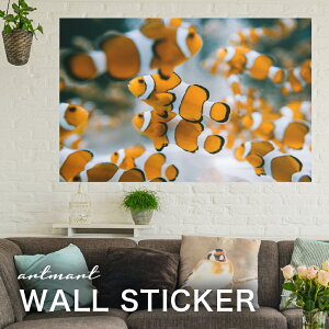 EH[XebJ[ A[gpl A[g ǎV[ ǃV[ CeA XebJ[ ʐ^  ǎ k R   lC Y  Vbv rO ItBX _CjO 