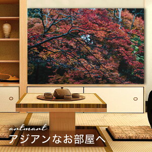 y{zA[gpl {[h artmart A[g}[g ʐ^ A~t[  Y R[fBl[g ǎ z EH[XebJ[ tHg   ItBX ze  a@ z[