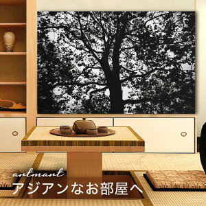 y{zA[gpl {[h artmart A[g}[g ʐ^ A~t[  Y R[fBl[g ǎ z EH[XebJ[ tHg   ItBX ze  a@ z[