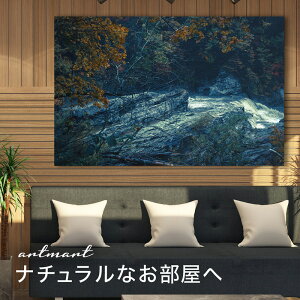 y{zA[gpl {[h artmart A[g}[g ʐ^ A~t[  Y R[fBl[g ǎ z EH[XebJ[ tHg   ItBX ze  a@ z[