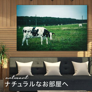 y{zA[gpl {[h artmart A[g}[g ʐ^ A~t[  Y R[fBl[g ǎ z EH[XebJ[ tHg   ItBX ze  a@ z[