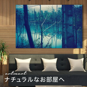 y{zA[gpl {[h artmart A[g}[g ʐ^ A~t[  Y R[fBl[g ǎ z EH[XebJ[ tHg   ItBX ze  a@ z[