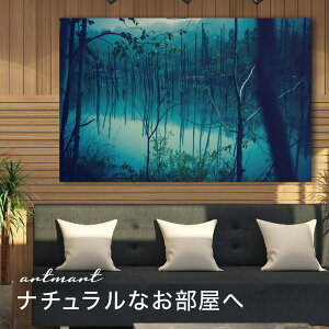 y{zA[gpl {[h artmart A[g}[g ʐ^ A~t[  Y R[fBl[g ǎ z EH[XebJ[ tHg   ItBX ze  a@ z[