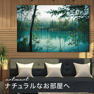 y{zA[gpl {[h artmart A[g}[g ʐ^ A~t[  Y R[fBl[g ǎ z EH[XebJ[ tHg   ItBX ze  a@ z[