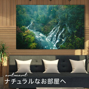 y{zA[gpl {[h artmart A[g}[g ʐ^ A~t[  Y R[fBl[g ǎ z EH[XebJ[ tHg   ItBX ze  a@ z[