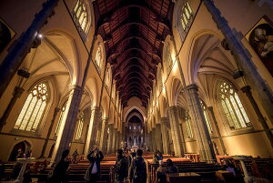 y{zA[gpl {[h artmart A[g}[g ʐ^ A~t[  Y R[fBl[g ǎ z EH[XebJ[ tHg   ItBX ze  a@ z[