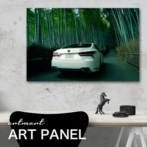 NTX LS500 500h JX^y{zA[g{[h A[gpl artmart A[g}[g Gʐ^A~t[ŕ\Bǎ z EH[XebJ[ Ǌ| tHgt[ł̃C