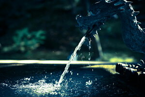 y{zA[gpl {[h artmart A[g}[g ʐ^ A~t[  Y R[fBl[g ǎ z EH[XebJ[ tHg   ItBX ze  a@ z[