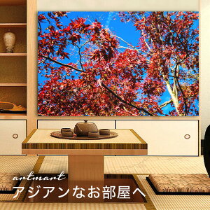 y{zA[gpl {[h artmart A[g}[g ʐ^ A~t[  Y R[fBl[g ǎ z EH[XebJ[ tHg   ItBX ze  a@ z[