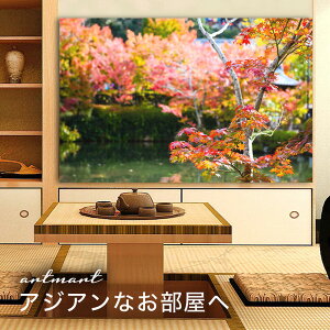 y{zA[gpl {[h artmart A[g}[g ʐ^ A~t[  Y R[fBl[g ǎ z EH[XebJ[ tHg   ItBX ze  a@ z[