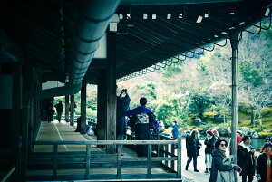 y{zA[gpl {[h artmart A[g}[g ʐ^ A~t[  Y R[fBl[g ǎ z EH[XebJ[ tHg   ItBX ze  a@ z[