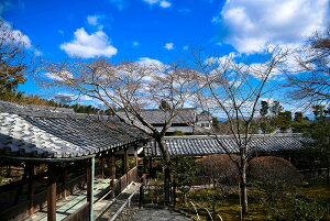 y{zA[gpl {[h artmart A[g}[g ʐ^ A~t[  Y R[fBl[g ǎ z EH[XebJ[ tHg   ItBX ze  a@ z[