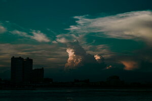 y{zA[gpl {[h artmart A[g}[g ʐ^ A~t[  Y R[fBl[g ǎ z EH[XebJ[ tHg   ItBX ze  a@ z[