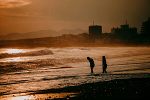 y{zA[gpl {[h artmart A[g}[g ʐ^ A~t[  Y R[fBl[g ǎ z EH[XebJ[ tHg   ItBX ze  a@ z[