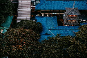 y{zA[gpl {[h artmart A[g}[g ʐ^ A~t[  Y R[fBl[g ǎ z EH[XebJ[ tHg   ItBX ze  a@ z[